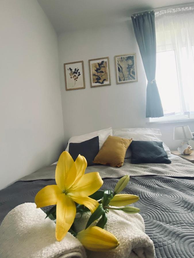 Apartamenty Majka Zator Exteriér fotografie